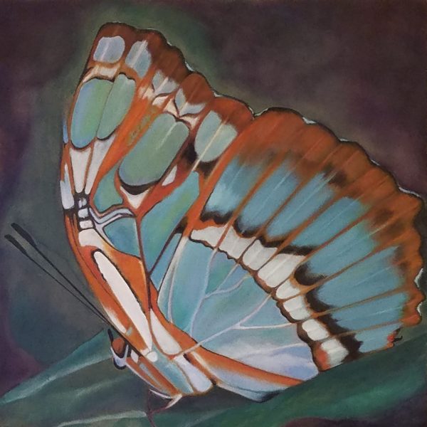 Butterfly (early work)