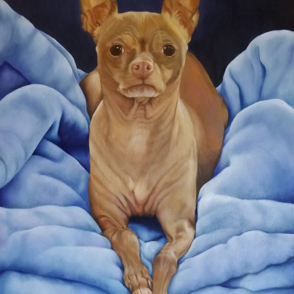 Chihuahua