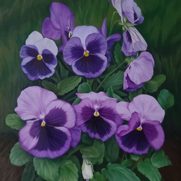 Pansies